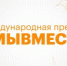 «Устойчивое будущее» шадринских активистов высоко оценили на международном уровне - Новый мир