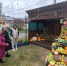 Ростовые куклы из овощей создали жители курганских ТОС - Курган и курганцы