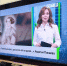 «Дорогами Зауралья» и «Четыре лапы» покажут в эфире федерального телеканала - Область 45
