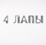 Кот из Казахстана и собаки из Курска - в Кургане помогли всем - Область 45