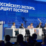 Правительство настраивает «платформенную» организацию несырьевых поставок из РФ - Департамент экономического развития