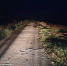 новости курган - Курган и курганцы