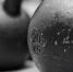 новости курган - Курган и курганцы