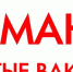 Информация о наличии вакансий в медицинских организациях Курганской области - Портал медучреждений Курганской области