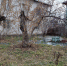 img - ЛДПР
