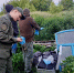 Жительница Шатровского округа признана виновной в убийстве несовершеннолетней девочки - Следственный комитет