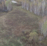 Заброшенные поля обошлись зауральцу в 100 тысяч рублей - Kurgan.Ru