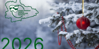 С Новым годом! - Общественная палата