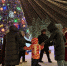 Сегодня в 18.00 открытие городской елки в центре Кургана - Курган и курганцы