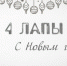 Пушистый Новый год от «Область 45»: праздничный выпуск программы «4 лапы» - Область 45