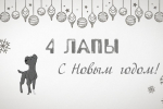 Пушистый Новый год от «Область 45»: праздничный выпуск программы «4 лапы»