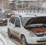В 2025 году россияне покупали автомобили LADA чаще, чем Haval, Chery и другие иномарки - Область 45