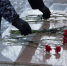 День полного освобождения Ленинграда от фашистской блокады. Афиша мероприятий - Администрация г. Курган