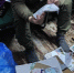 Волонтеры детско-юношеского центра «Импульс» из Шумихи получили благодарность от участников СВО - Новый мир