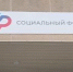 Самозанятым в Курганской области разрешили вносить страховые платежи для больничных - Новый мир