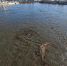 Как челябинские водохранилища могут повлиять на паводок в Курганской области - Область 45
