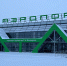 В Кургане уже весной начнут ремонт взлётной полосы - Kurgan.Ru