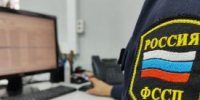 Судебные приставы изъяли орудия преступлений у шумихинцев - Новый мир