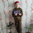 img - ЛДПР