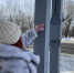 В Кургане предпринимателей обязали убрать незаконную рекламу - Kurgan.Ru