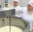 В курганском госуниверситете разрабатывают бренд сыра на местных заквасках - Область 45