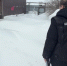 В Курганской области по подозрению в финансировании терроризма задержан местный житель - Следственный комитет