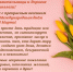 ПОЗДРАВЛЯЕМ С 8 МАРТА! - МФЦ по Курганской области