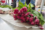 Тюльпаны - символ праздника: что дарили курганцы женщинам на 8 Марта