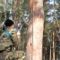 Военно-спортивные соревнования среди кадет посвятили подвигу офицеров курганского СОБР - Администрация г. Курган