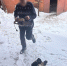 Пара из Щучья украла кур и попалась - Kurgan.Ru