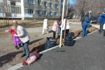 Общегородской субботник: курганцы наводят чистоту после зимы