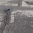 img - ЛДПР