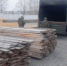 Курганские приставы передали военным конфискованную у контрабандиста древесину - Новый мир