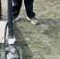 В Курганской области ребёнок попал в больницу после катания на чужом электросамокате - Область 45