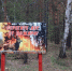 С 22 апреля в Зауралье закроют леса для посещения - Kurgan.Ru