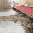 Мусор и ветки – преграда для воды. Под Мало-Чаусовским мостом вновь устранили затор - Администрация г. Курган