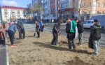 Курганцы присоединились к минстроевскому субботнику
