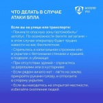 Жителям Курганской области объяснили, что делать, если увидели в небе беспилотник