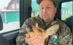 В Шадринске спасли заблудившуюся в городе косулю