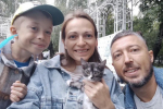 Три котёнка обрели хозяев на благотворительном фестивале «Дай лапу!» в Кургане