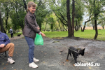Три котёнка обрели хозяев на благотворительном фестивале «Дай лапу!» в Кургане