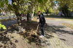 Вместе делаем город уютнее: в Кургане начались субботники в рамках месячника санитарной очистки