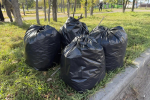 В Кургане начался месячник субботников