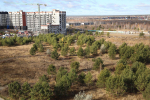 В 12-м микрорайоне Заозёрного появится новый парк